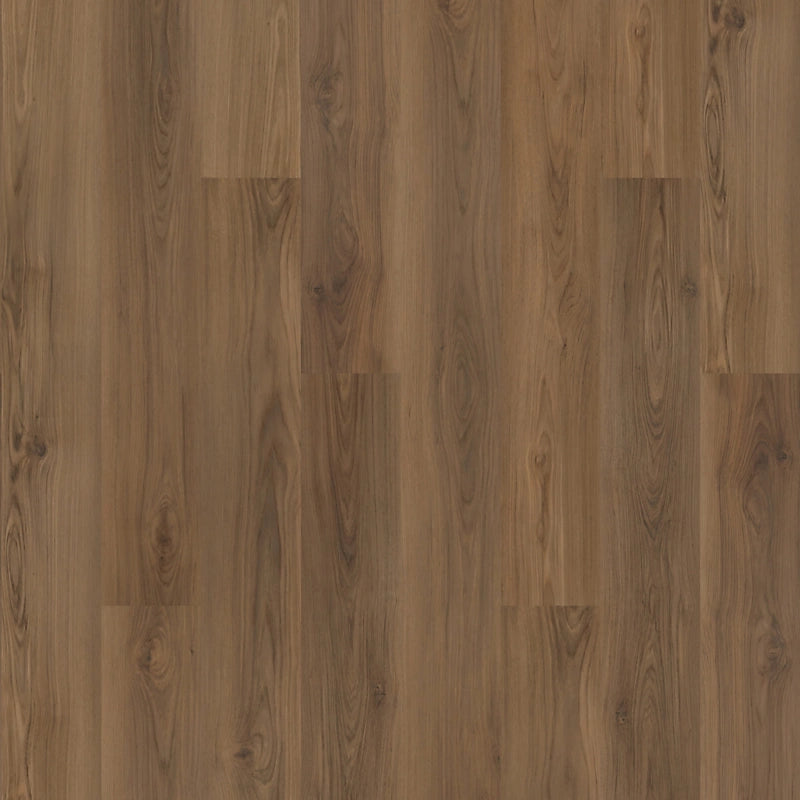 SolidTech Plus   Serie  (DAT)