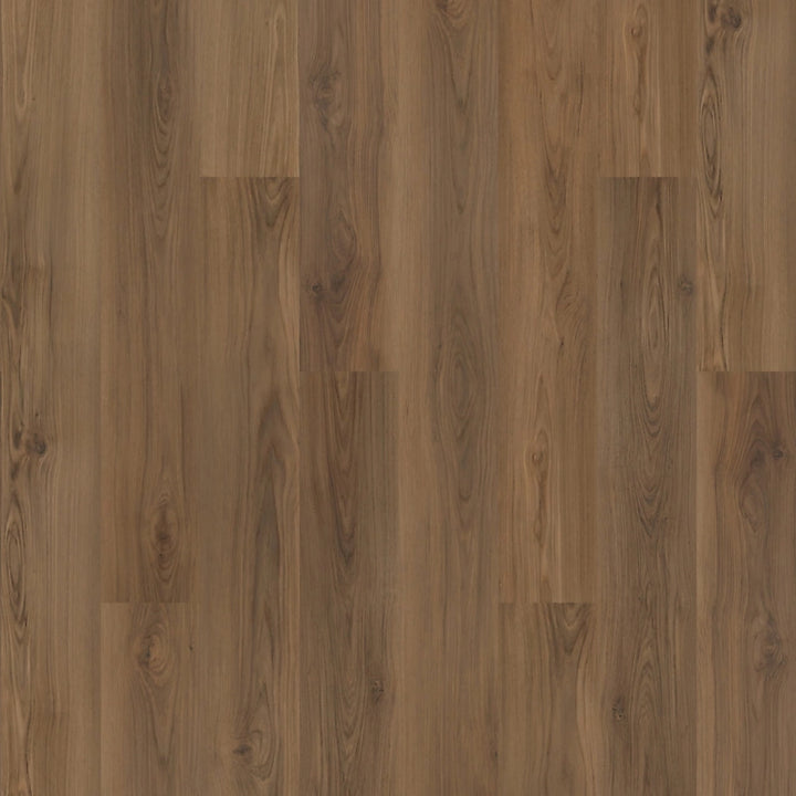 SolidTech Plus   Serie  (DAT)