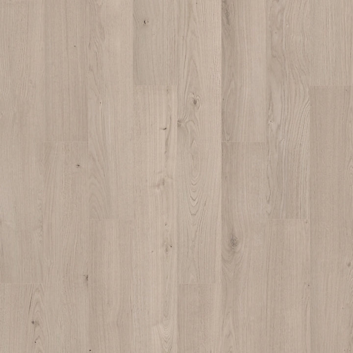 SolidTech R Plus   Serie  (DAT)