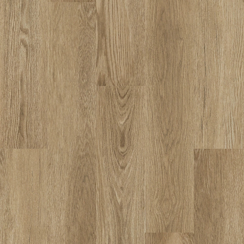 SolidTech Select   Serie  (DAT)