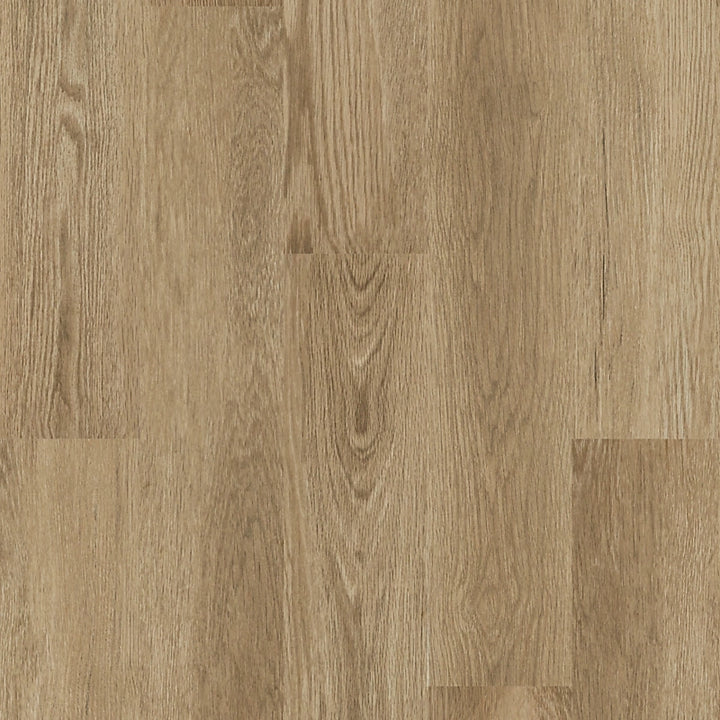 SolidTech Select   Serie  (DAT)