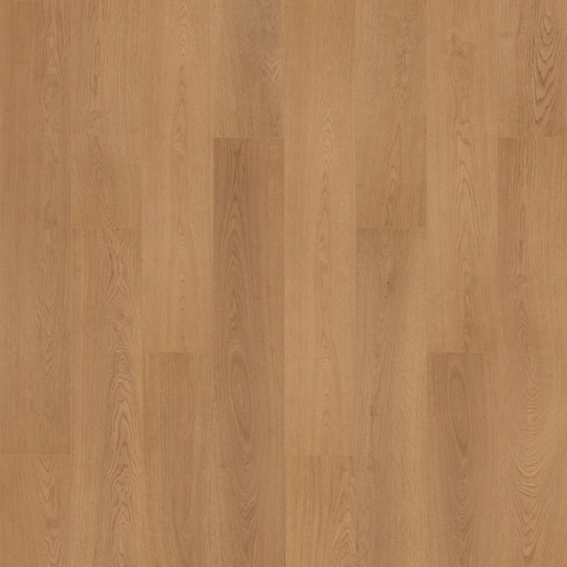 SolidTech R Plus   Serie  (DAT)