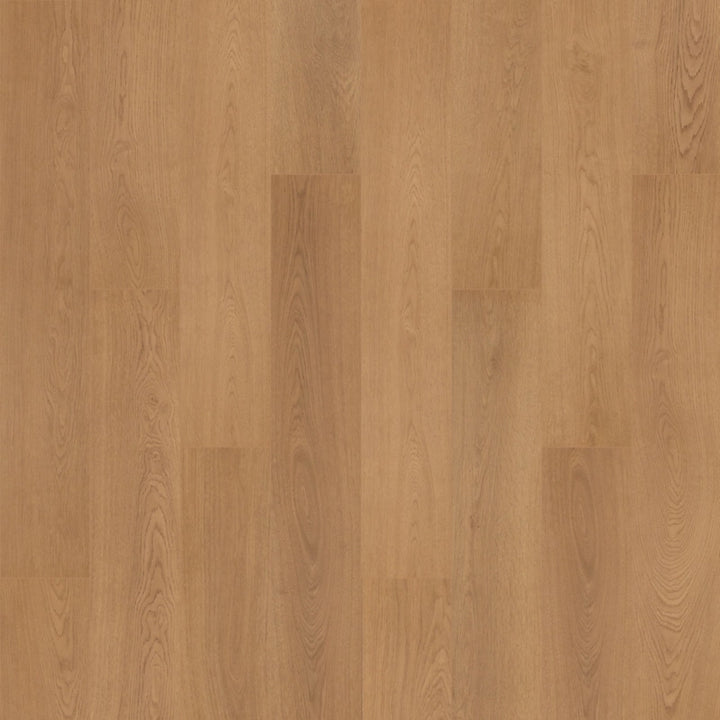 SolidTech R Plus   Serie  (DAT)