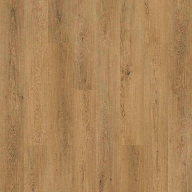 SolidTech Plus   Serie  (DAT)