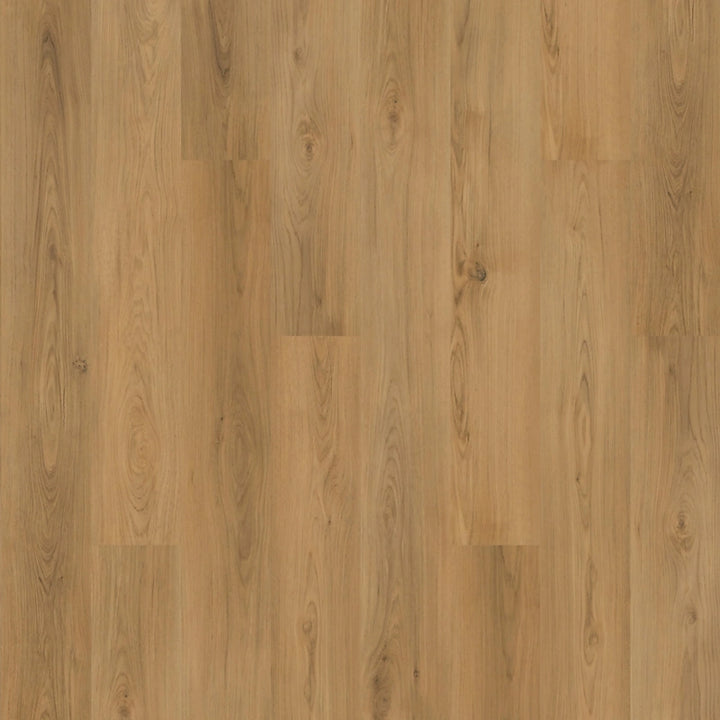 SolidTech Plus   Serie  (DAT)