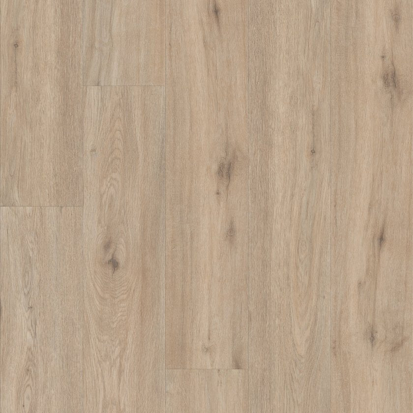 Shawfloors    Pantheon Hd Plus    Series  (Shaw)