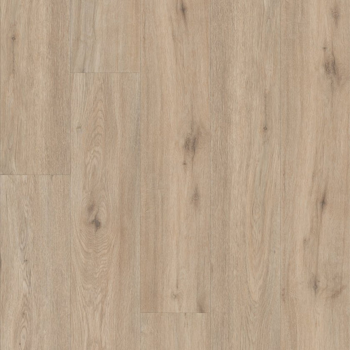 Shawfloors    Pantheon Hd Plus    Series  (Shaw)