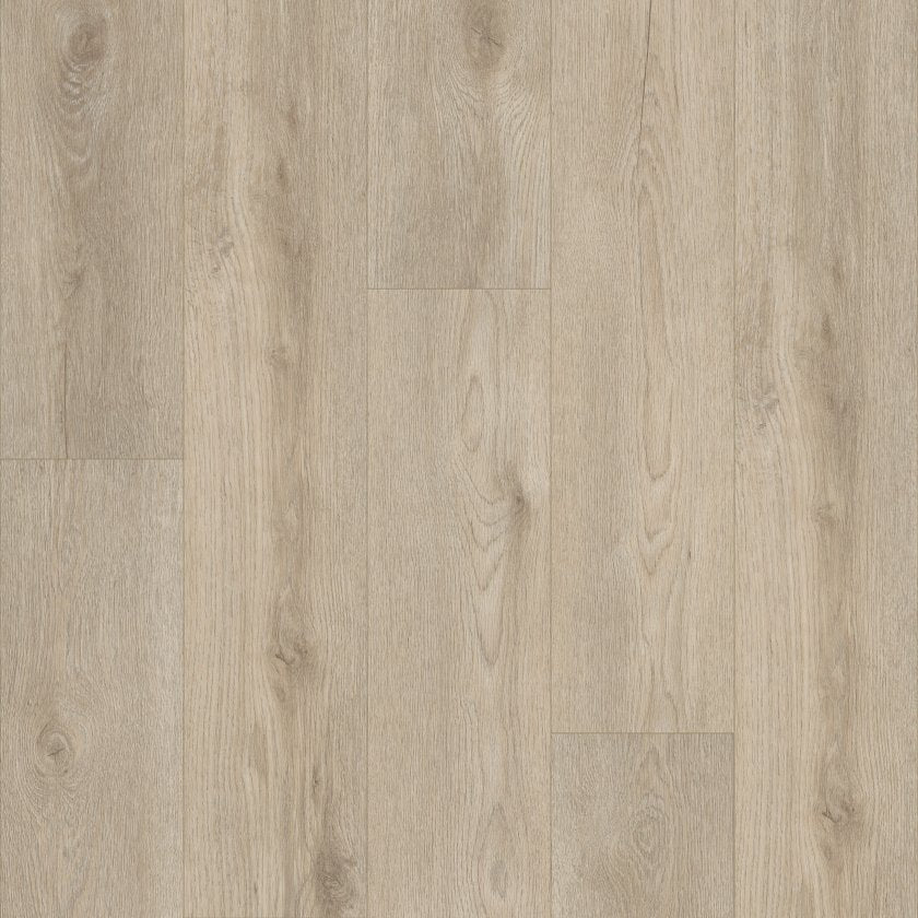 Shawfloors    Paladin Plus    Series  (Shaw)