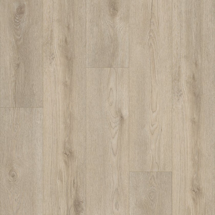 Shawfloors    Paladin Plus    Series  (Shaw)