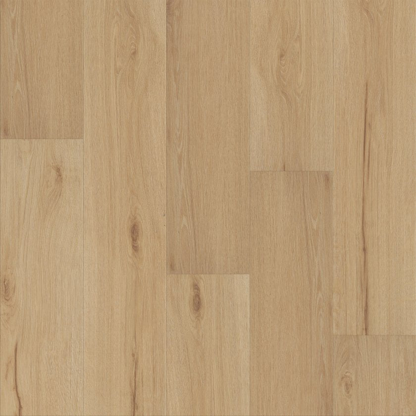 Shawfloors    Maltese    Series  (Shaw)