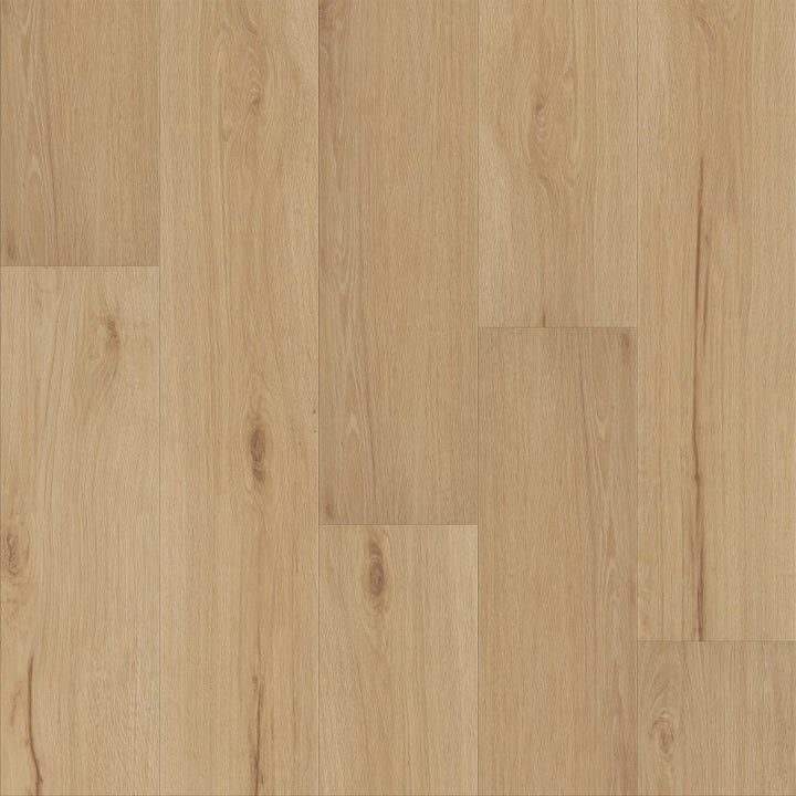 Shawfloors    Maltese    Series  (Shaw)