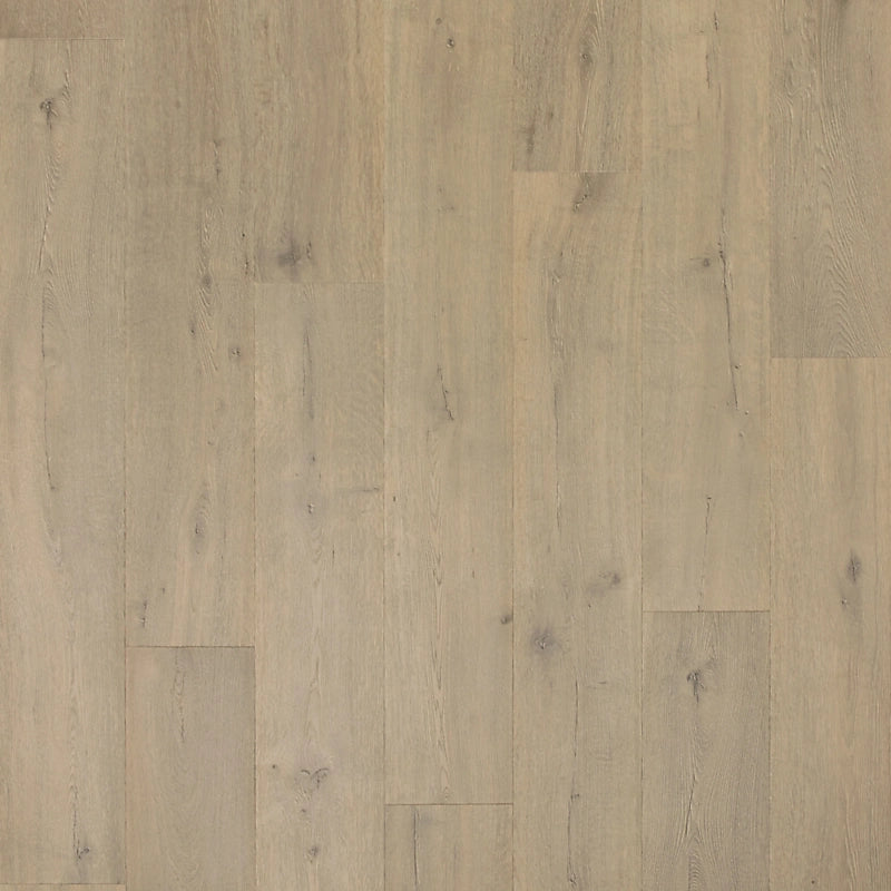 PureTech Plus   Serie  (DAT)