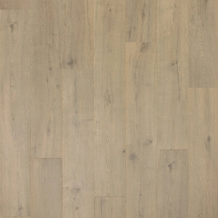 PureTech Plus   Serie  (DAT)