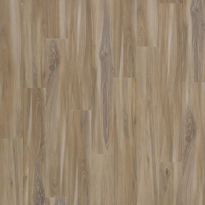 SolidTech Select   Serie  (DAT)