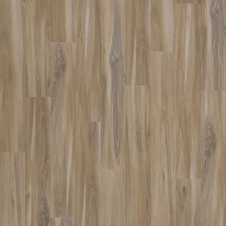 SolidTech Select   Serie  (DAT)