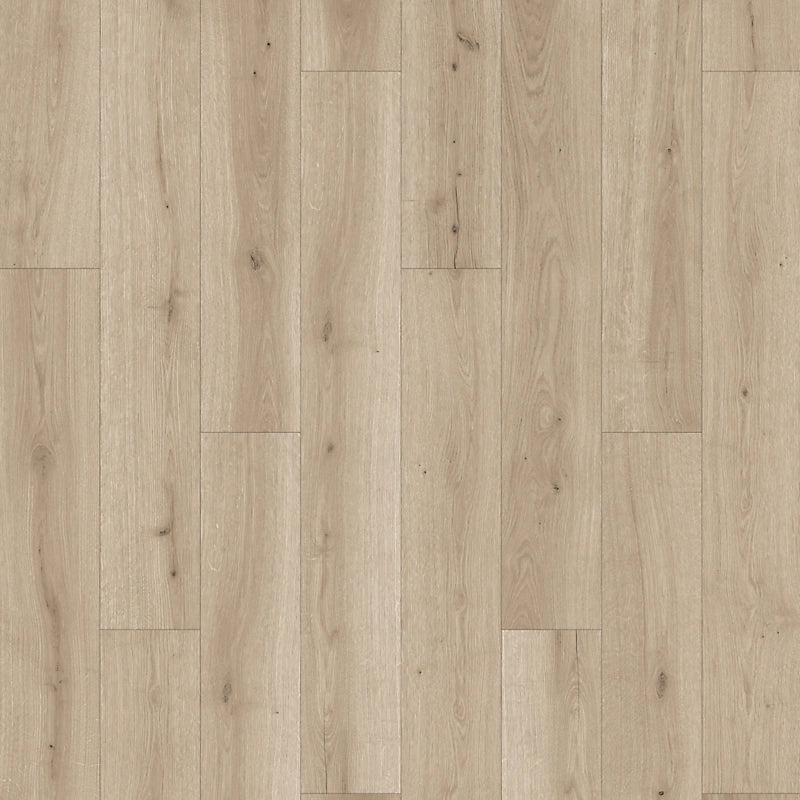 PureTech Plus   Serie  (DAT)