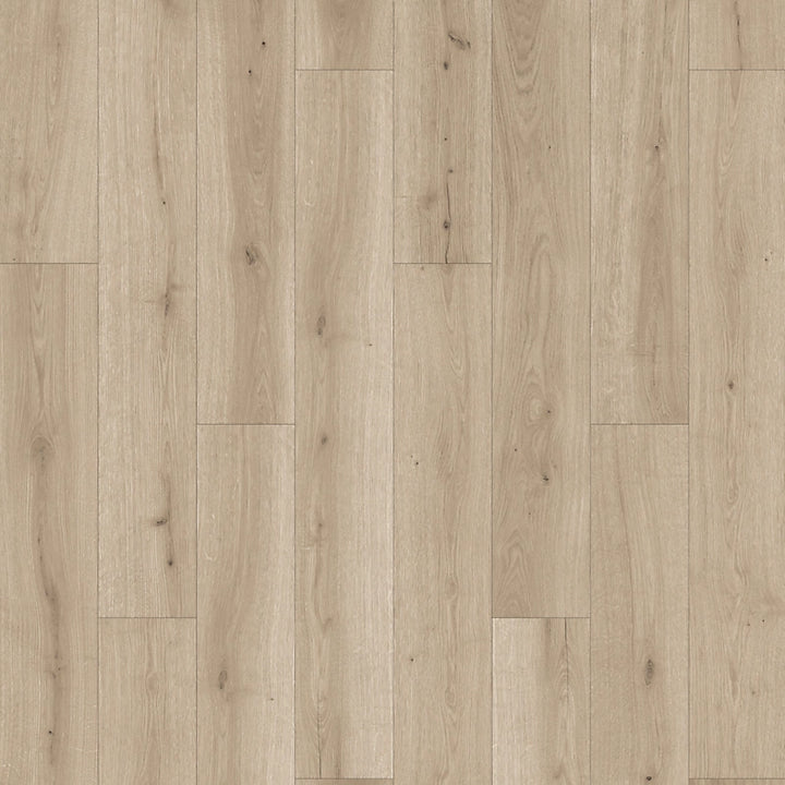 PureTech Plus   Serie  (DAT)