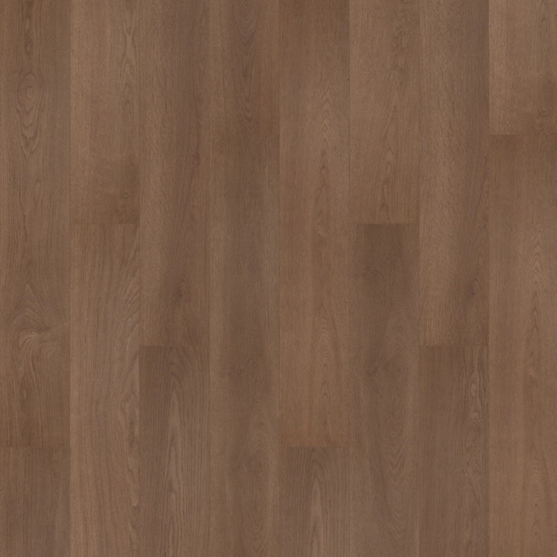 SolidTech R Plus   Serie  (DAT)
