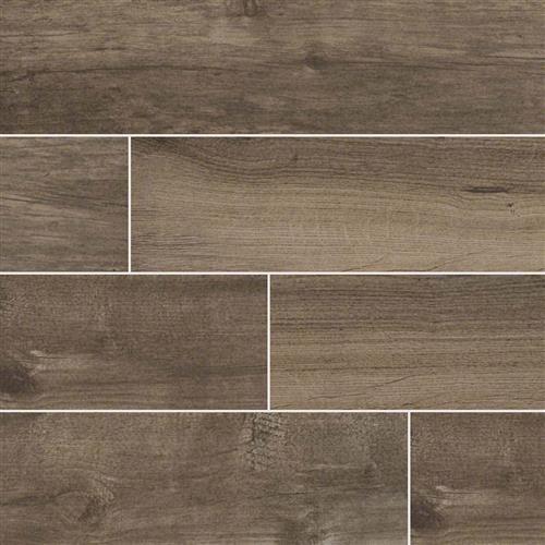 StandardTile      Palmetto     Series