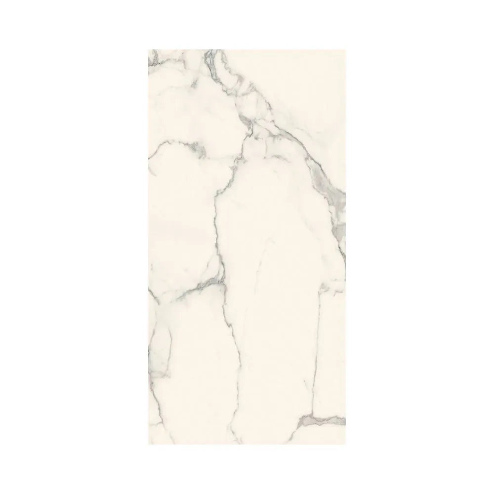 Ever-Stone  ®    (CTS)