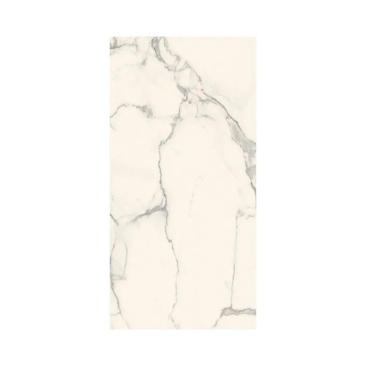 Ever-Stone  ®    (CTS)