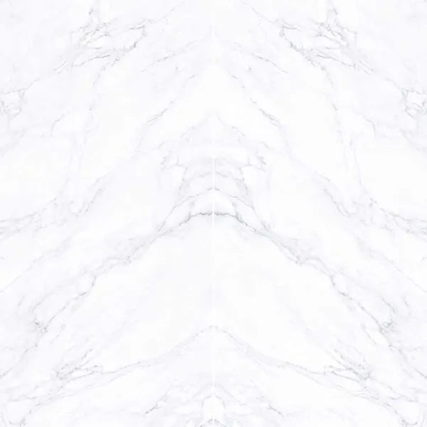 Renaissance ®    (CTS)