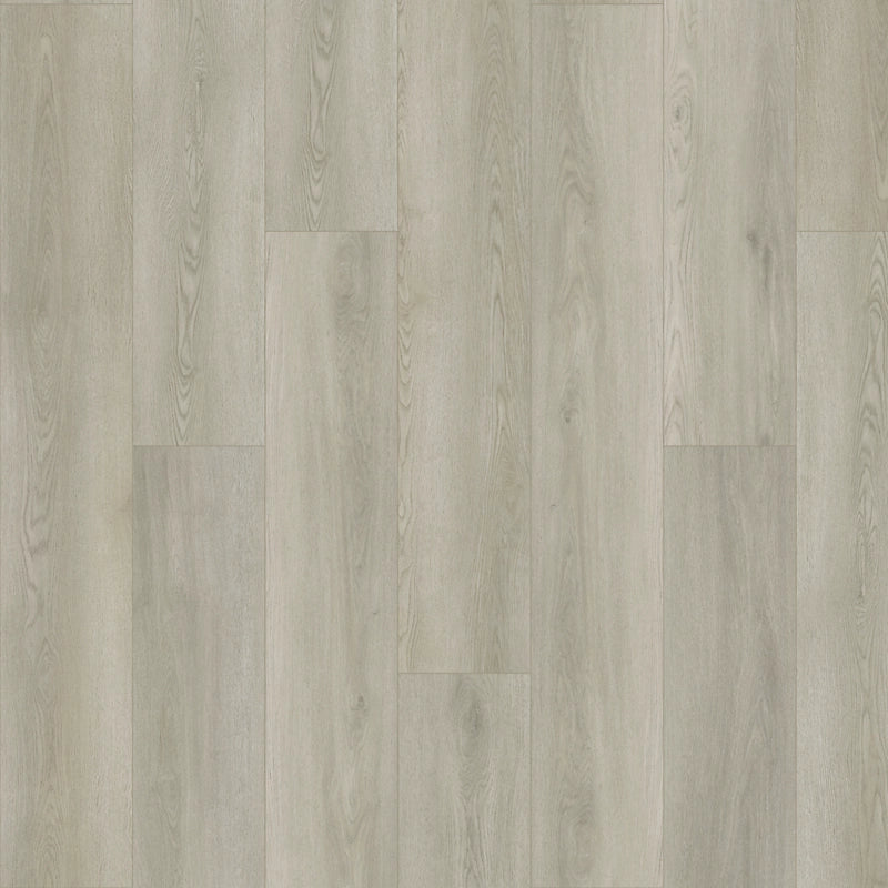 SolidTech Plus   Serie  (DAT)