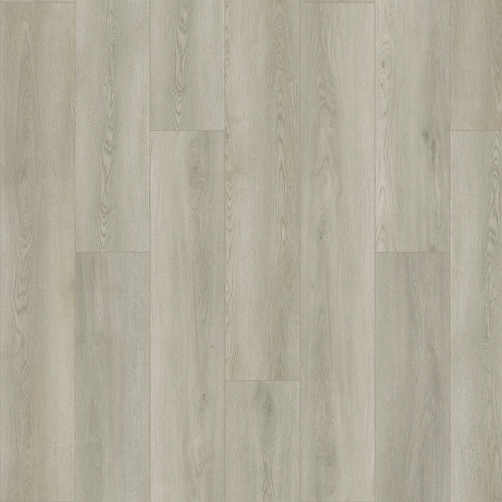SolidTech Plus   Serie  (DAT)