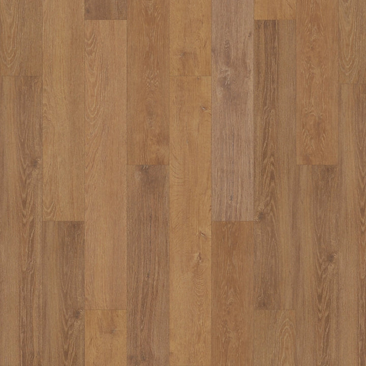 SolidTech Select   Serie  (DAT)