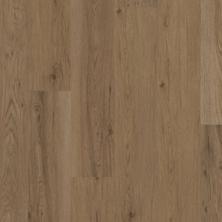 Shawfloors    Ignite    Series  (Shaw)