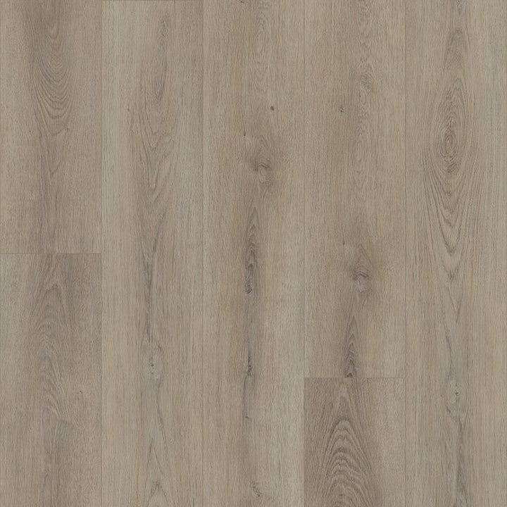 Shawfloors    Paladin Plus    Series  (Shaw)