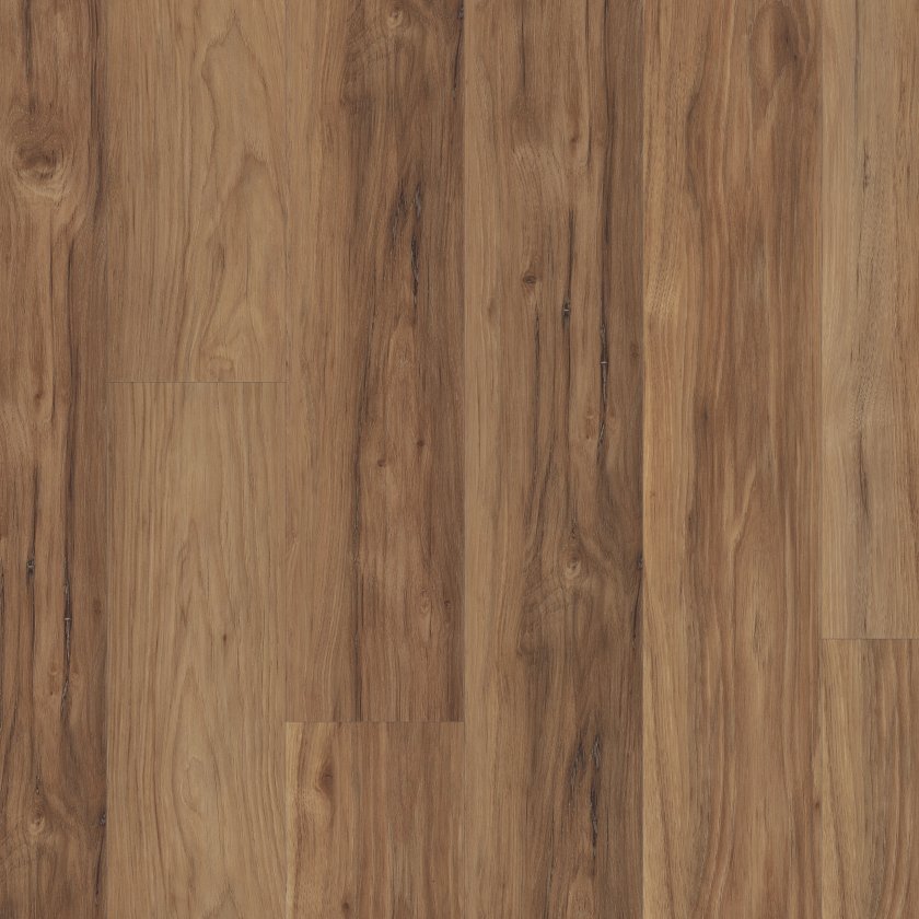 Shawfloors    Ignite    Series  (Shaw)
