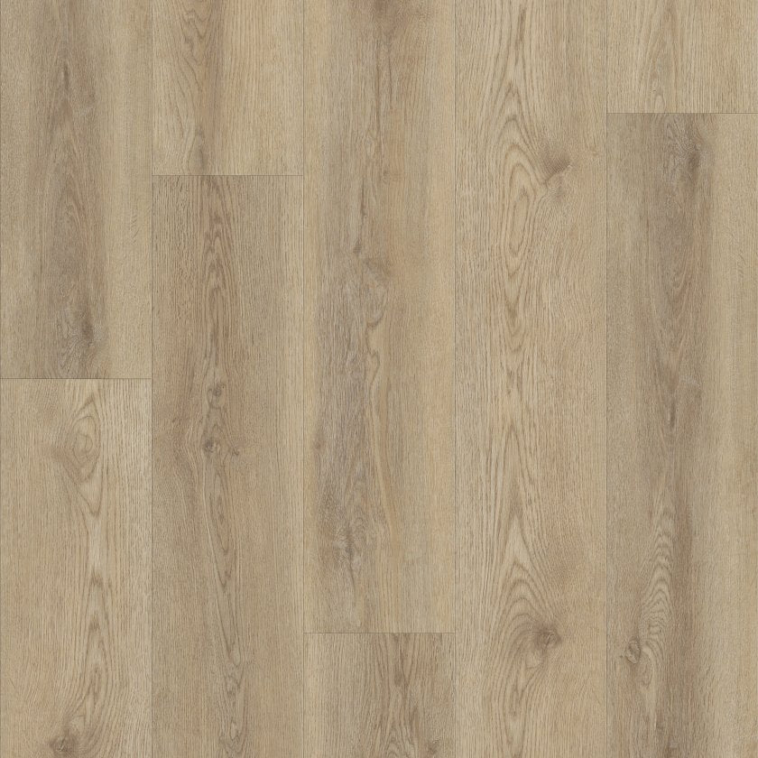 Shawfloors    Pantheon Hd Plus    Series  (Shaw)