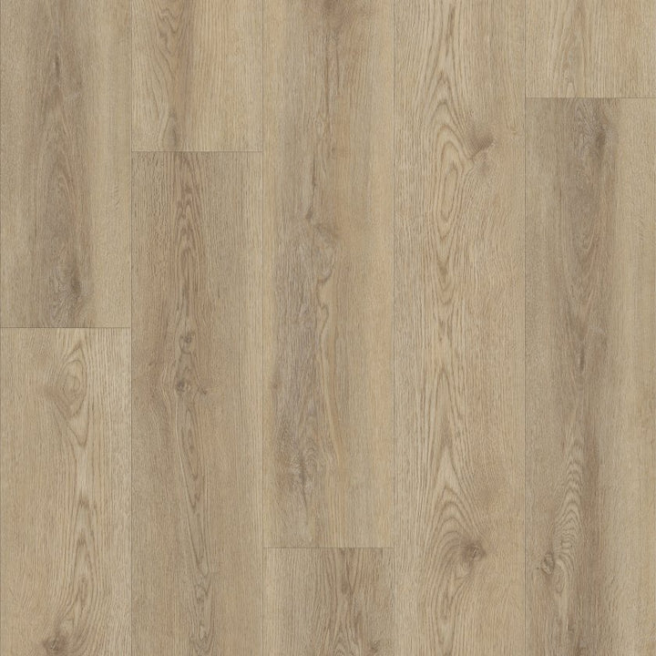 Shawfloors    Pantheon Hd Plus    Series  (Shaw)