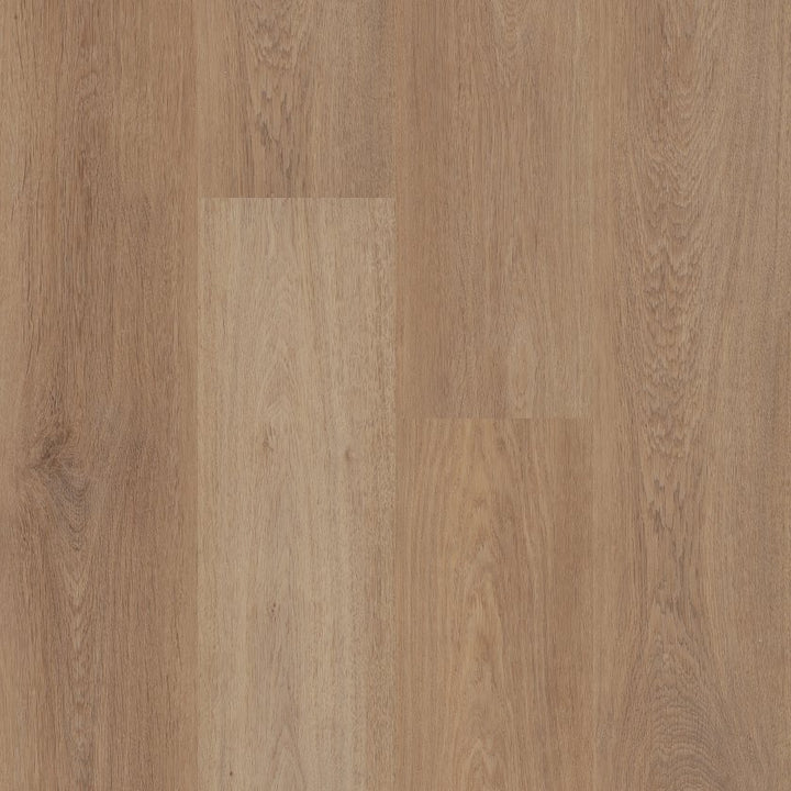 Shawfloors    Briard    Series  (Shaw)