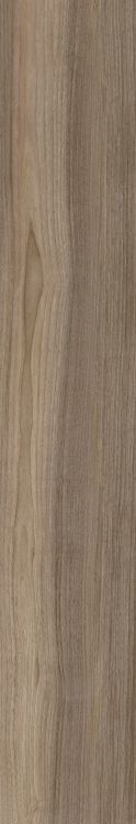 Elysium        Harper         Series ®    (EL)