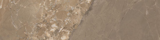 Dynasty Marble Look    Series ®    (ARL)