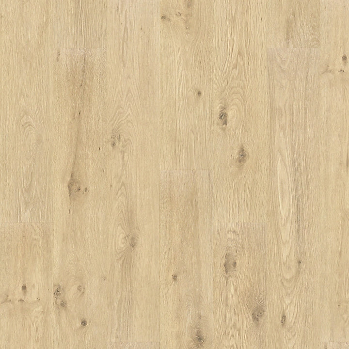 PureTech Premier   Serie  (DAT)