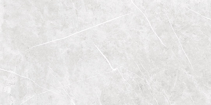 The Tile Store Porcelain Tile  Series