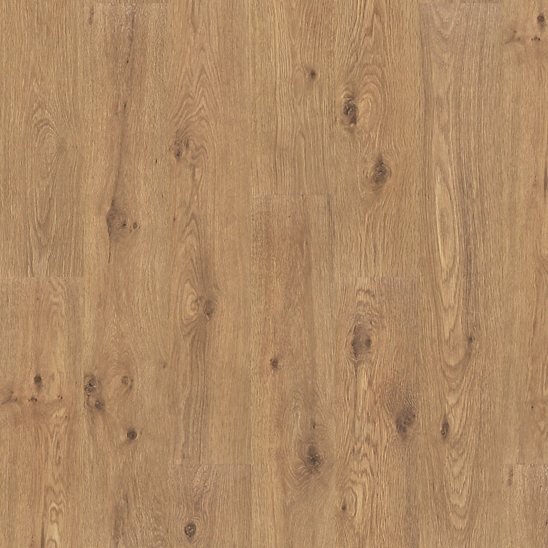 PureTech Premier   Serie  (DAT)