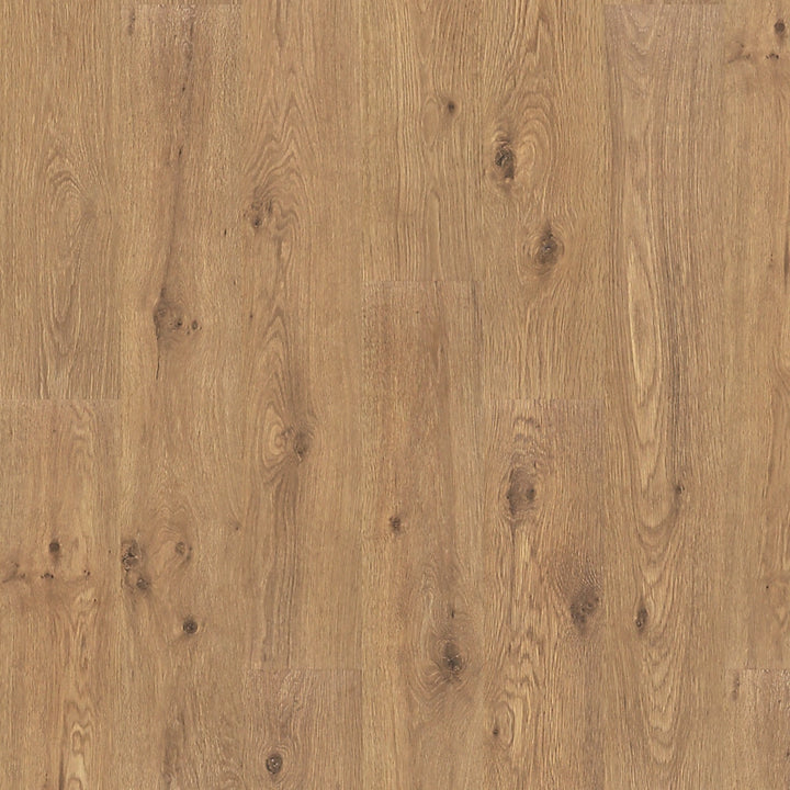 PureTech Premier   Serie  (DAT)