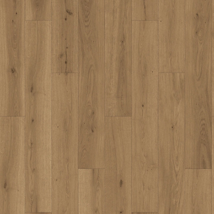 PureTech Plus   Serie  (DAT)