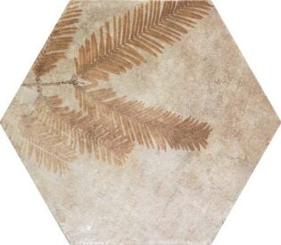 Amazonia ZYX ®   Series   (TTS)