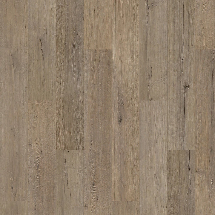 PureTech Plus   Serie  (DAT)