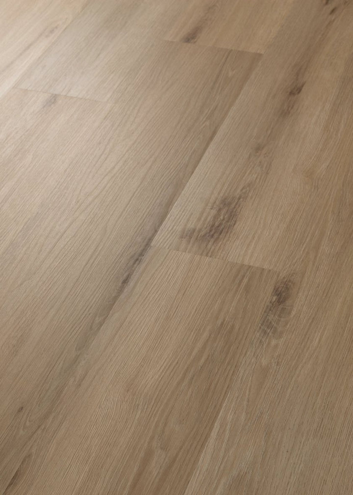 Shawfloors    Maltese    Series  (Shaw)