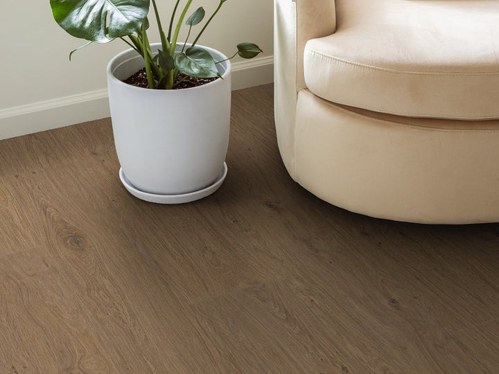 Shawfloors    Fresh Take    Series  (Shaw)