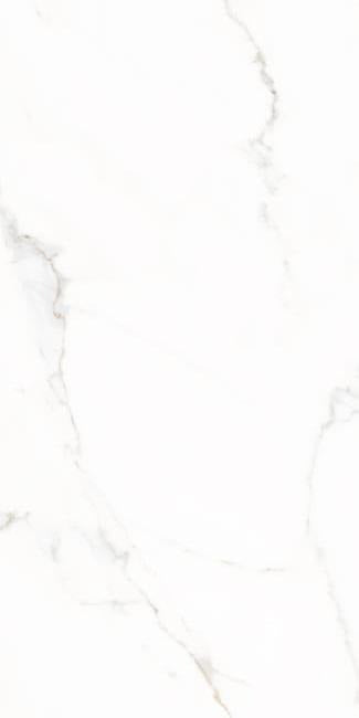 WICKY SERIES PORCELAIN COLLECTION (OT)