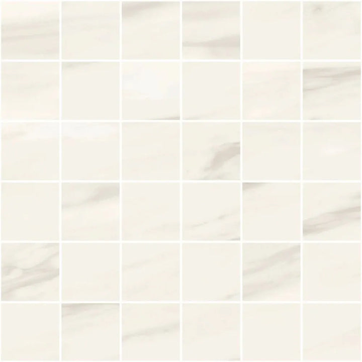 Neostone ®    (CTS)