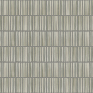 Pigmenta ®   Series   (TTS)