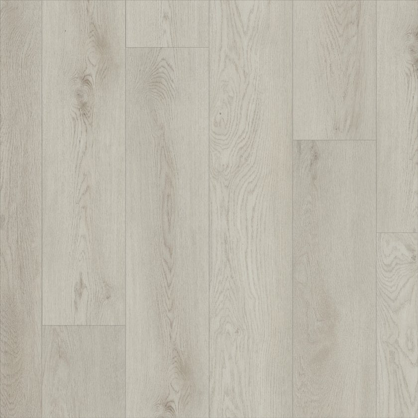Shawfloors    Paladin Plus    Series  (Shaw)